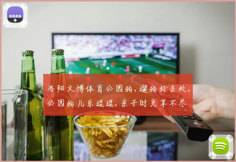 洛阳文博体育公园狗,遛狗好去处,公园狗儿乐逗逗,亲子时光享不尽